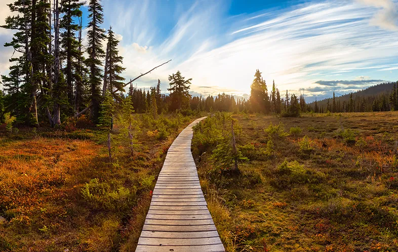 The Path to Sovereignty is a Shared Journey